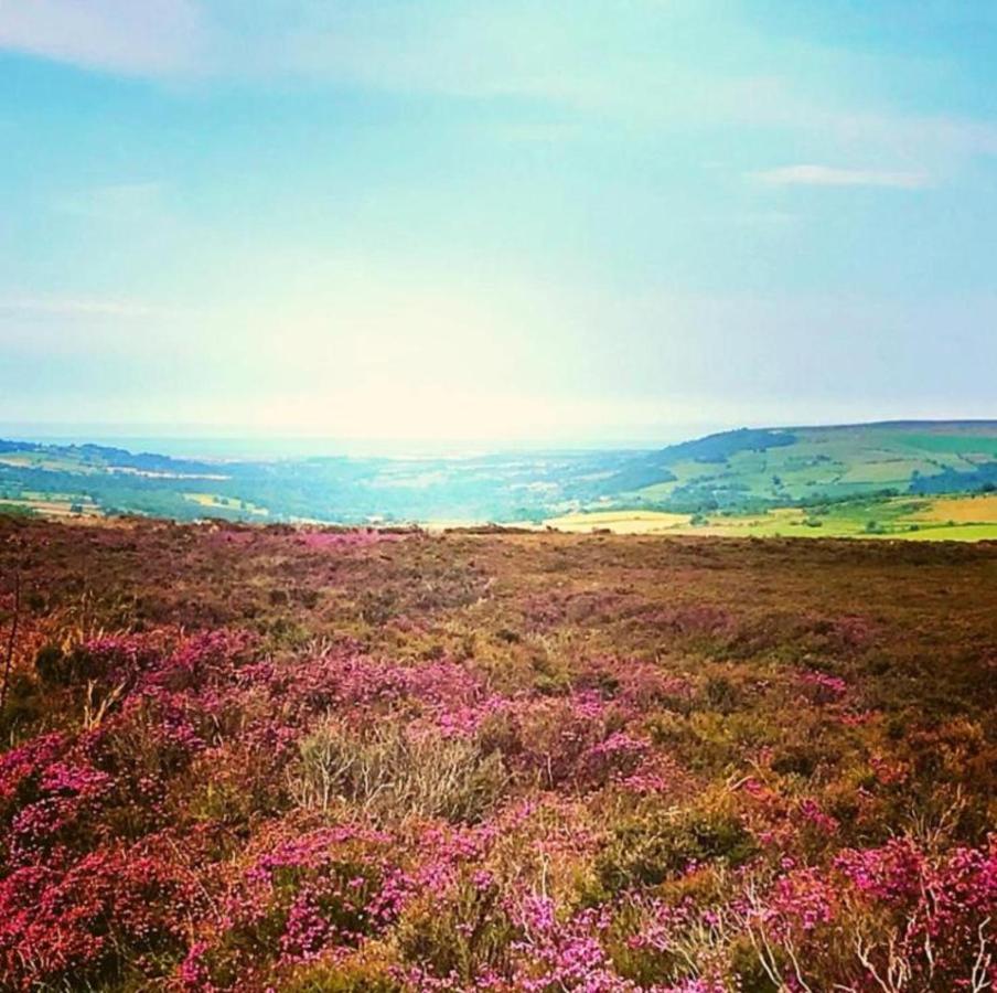 The Barn - Yorkshire Coast Lets Holiday home *